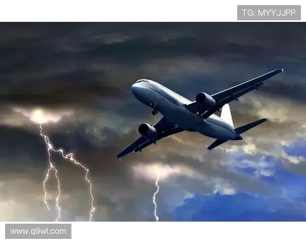 飞机机体防雷击放电刷的安装位置